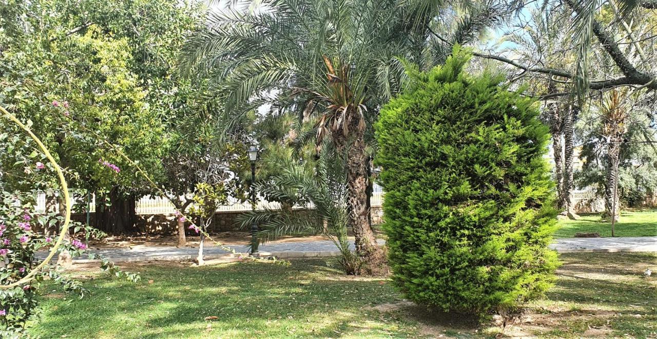 Ecaterina Apartment Torrevieja Eksteriør billede